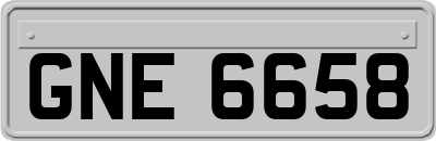 GNE6658