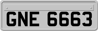 GNE6663
