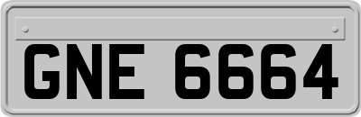 GNE6664