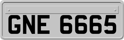 GNE6665