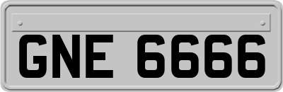 GNE6666