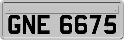 GNE6675