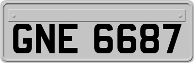 GNE6687