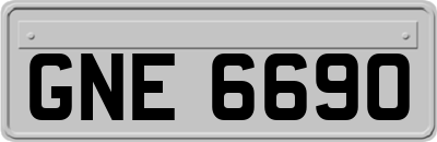 GNE6690