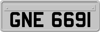 GNE6691