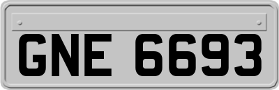 GNE6693