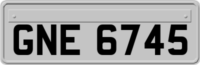 GNE6745
