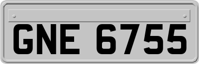 GNE6755
