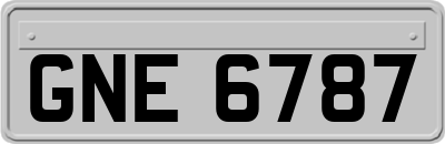 GNE6787