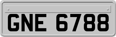 GNE6788