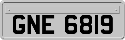 GNE6819