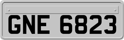 GNE6823