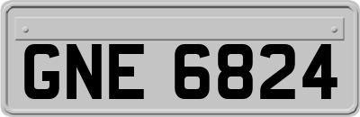 GNE6824