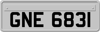 GNE6831