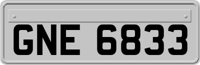 GNE6833