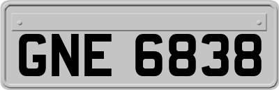 GNE6838
