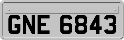 GNE6843