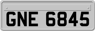 GNE6845