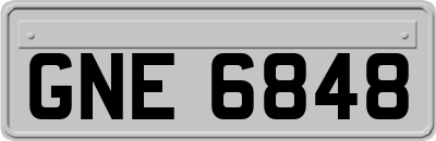 GNE6848
