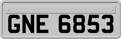 GNE6853
