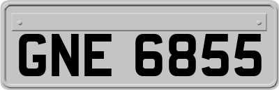 GNE6855