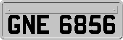 GNE6856