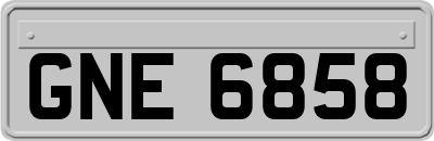 GNE6858