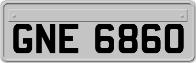 GNE6860