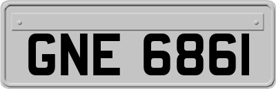GNE6861