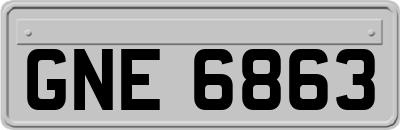 GNE6863