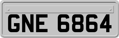 GNE6864