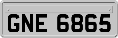 GNE6865