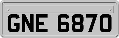 GNE6870