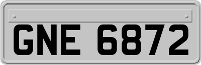 GNE6872