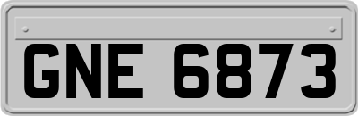 GNE6873