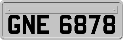 GNE6878