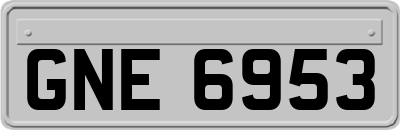 GNE6953