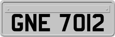GNE7012