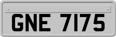 GNE7175