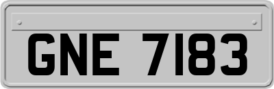 GNE7183