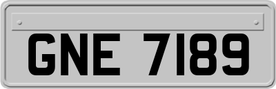 GNE7189