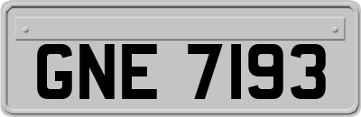 GNE7193