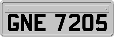 GNE7205
