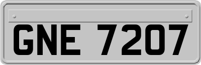 GNE7207