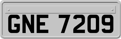 GNE7209