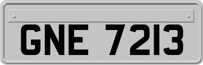 GNE7213