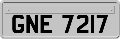 GNE7217