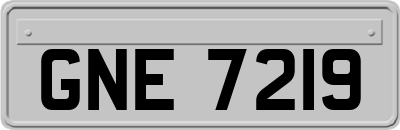 GNE7219