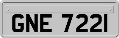 GNE7221