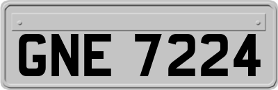 GNE7224